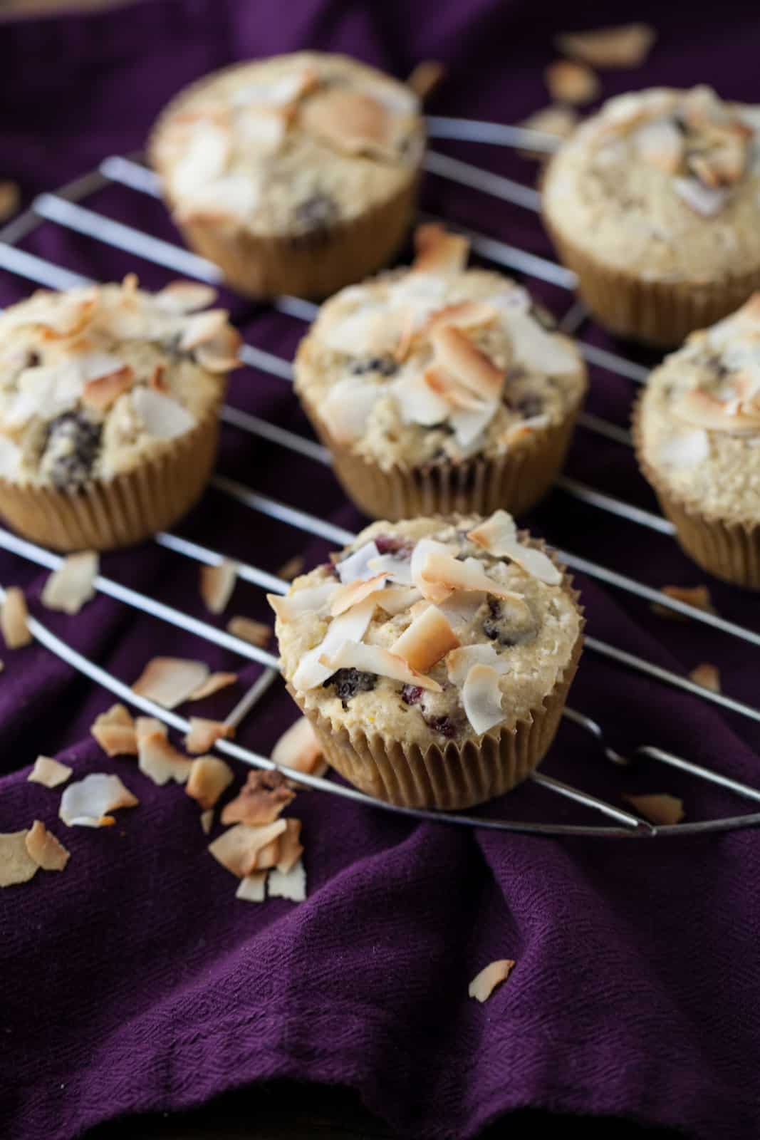 Blackberry Coconut Muffins