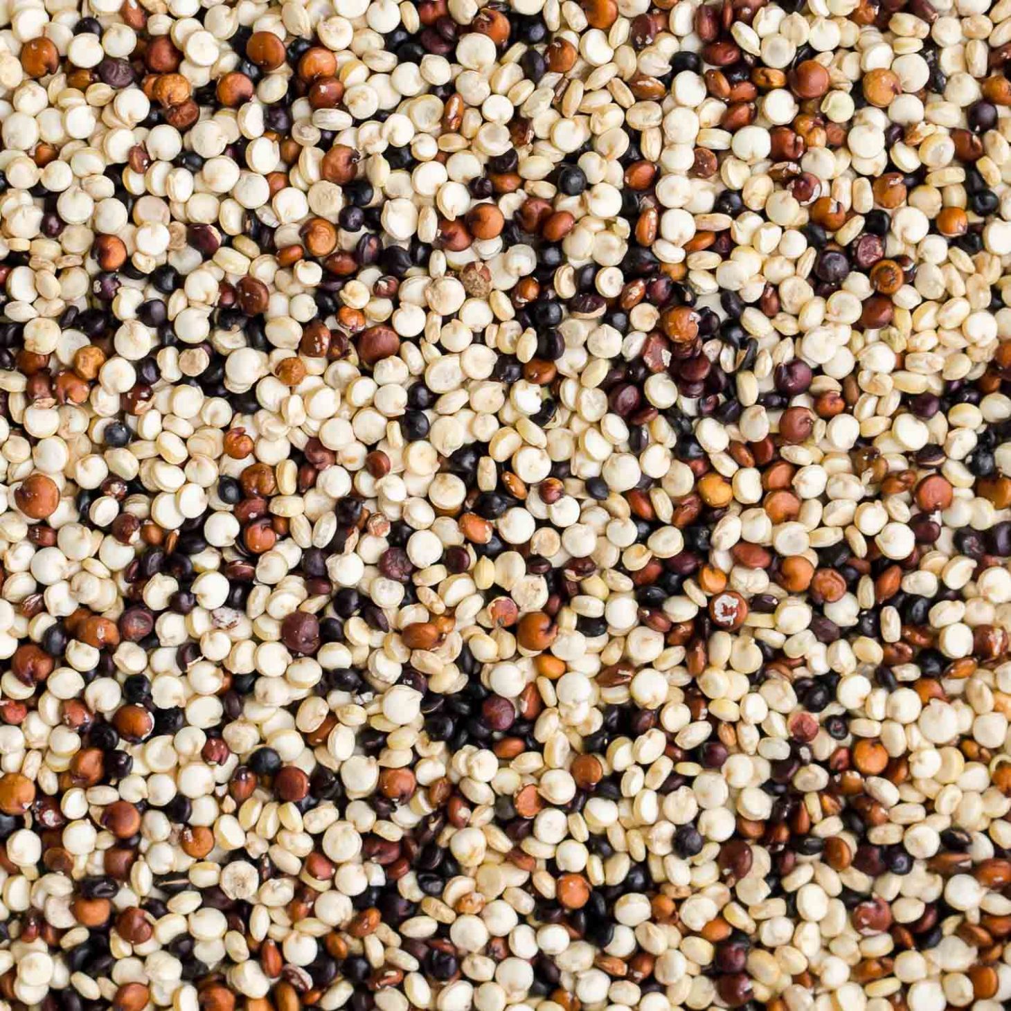 Quinoa
