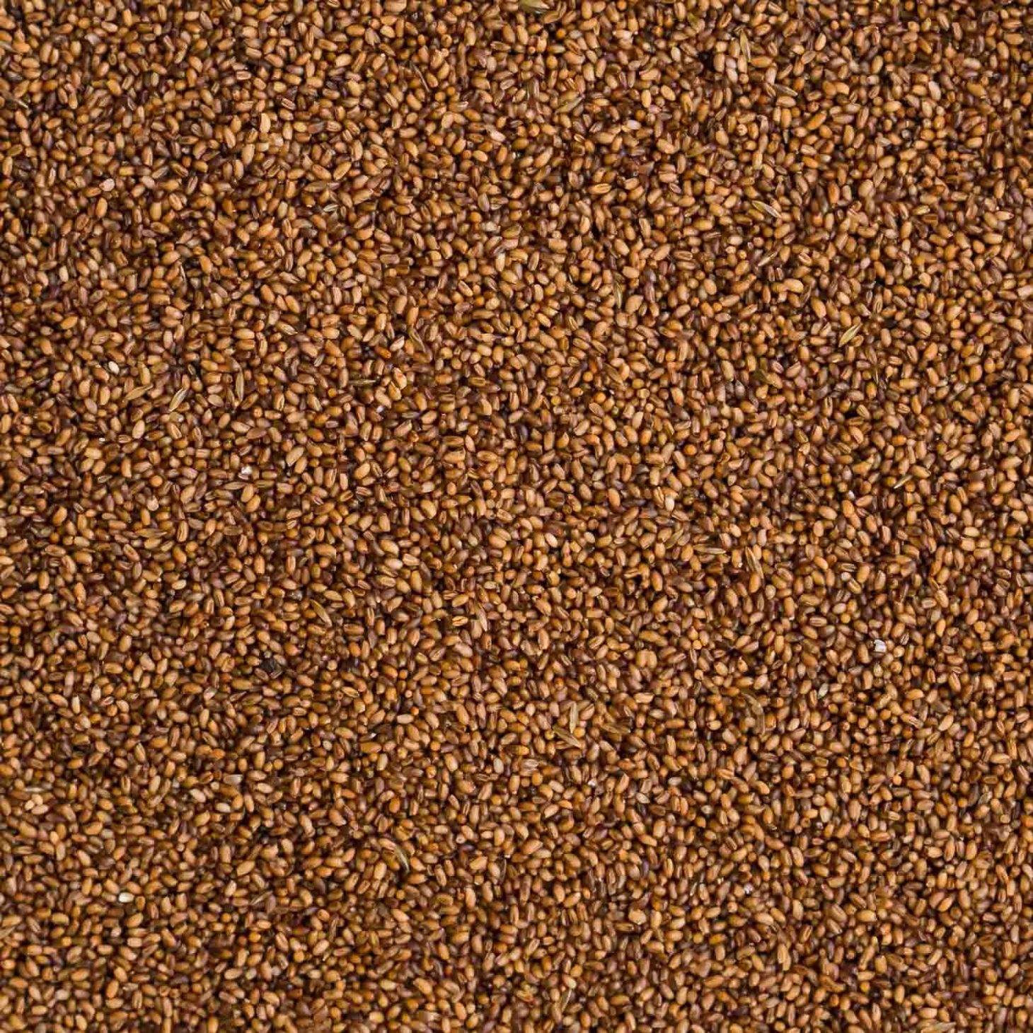Teff